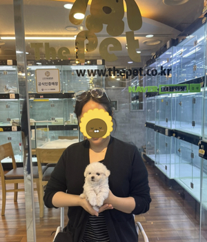 말티푸 분양후기 [23.05.05]