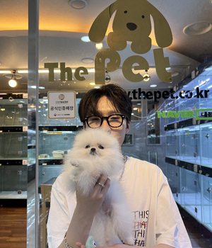 포메라니안 분양후기 [23.07.12]