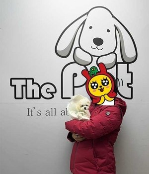 푸들 분양후기/중리점 [23.02.05]
