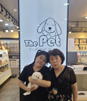 포메라니안 분양후기/중리점 [23.06.22]