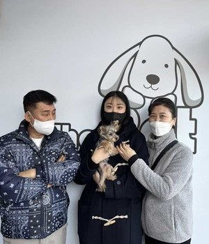 요크셔테리어 분양후기/중리점 [23.01.01]