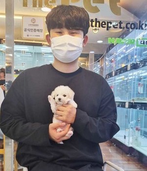 비숑프리제 분양후기 [23.03.11]