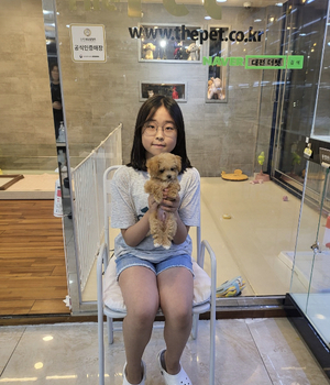 말티푸 분양후기 [23.09.29]