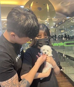 푸숑 분양후기 [23.07.03]