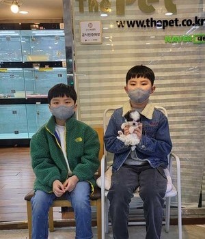 푸들 분양후기 [23.01.15]