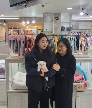 말티즈 분양후기 [23.11.28]