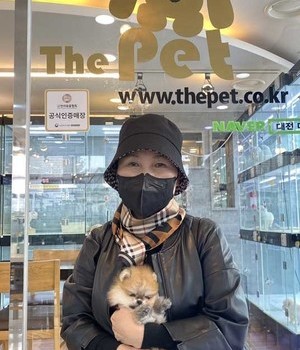 푸들 분양후기 [23.03.21]