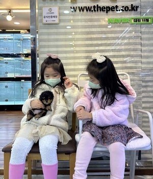 말티푸 분양후기 [23.01.15]