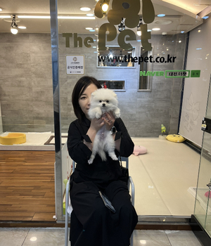 포메라니안 분양후기 [23.08.23]