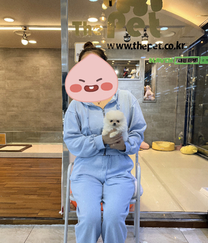 포메라니안 분양후기 [23.09.20]