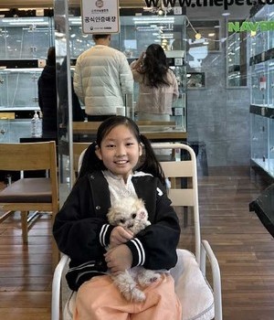 말티숑 분양후기 [23.02.25]