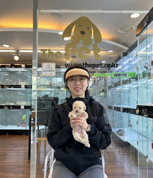 푸들 분양후기 [23.04.30]