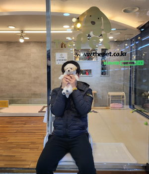 말티푸 분양후기 [23.11.27]