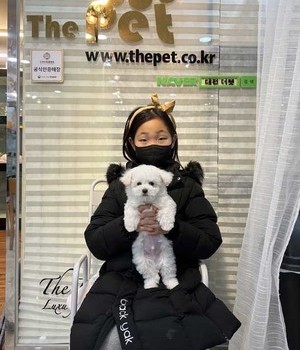 비숑프리제 분양후기 [23.01.04]