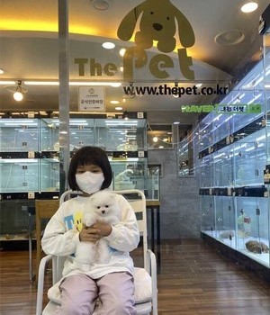 포메라니안 분양후기 [23.05.28]