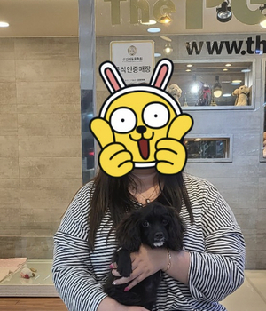 말티푸 분양후기 [23.08.31]