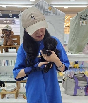 푸들 분양후기 [24.7.20]