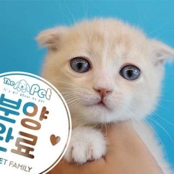 먼치킨 ♂ 3.23 분양완료