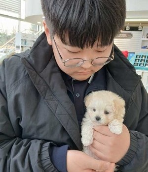 말티푸 분양후기 [24.11.25]