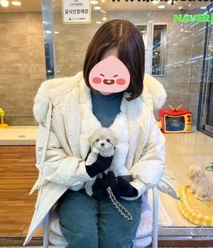 말티푸 분양후기 [24.1.24]
