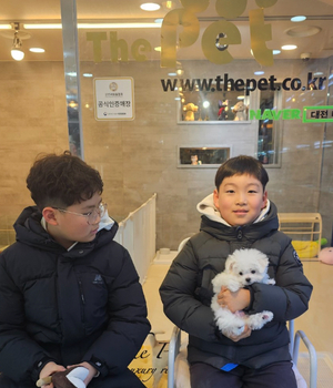 비숑프리제 분양후기 [23.12.19]