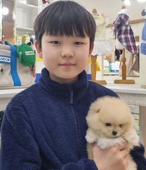 포메라니안 분양후기 [24.3.23]
