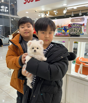 말티폼 분양후기 [23.12.18]