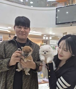 포메라니안, 시바이누 분양후기 [24.10.13]