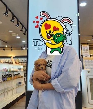 말티푸 분양후기/중리점 [24.5.6]