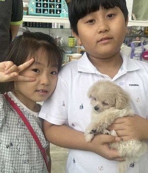 말티푸 분양후기 [24.7.14]