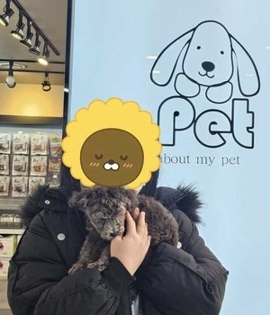 푸들 분양후기/중리점 [24.2.23]