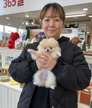 포메라니안 분양후기 [24.1.6]