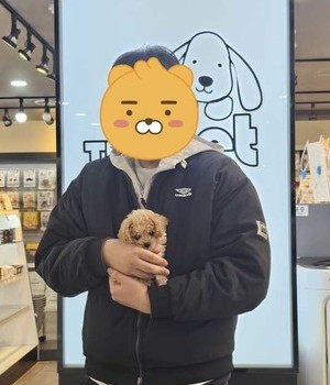 푸들 분양후기/중리점 [24.1.6]