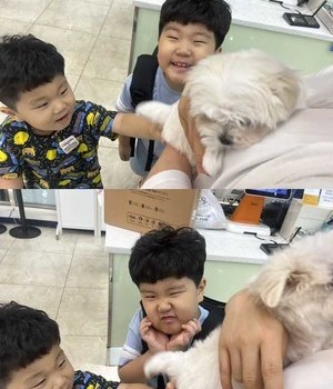 말티즈 분양후기 [24.6.26]