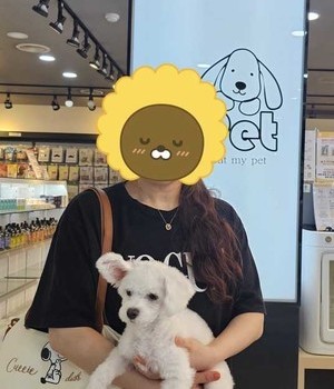 비숑프리제 분양후기/중리점 [24.8.28]
