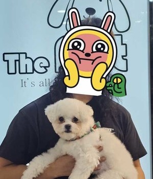 비숑프리제 분양후기/중리점 [24.11.16]