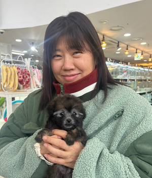 푸들 분양후기 [23.12.20]