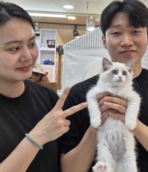 랙돌 분양후기 [24.7.20]