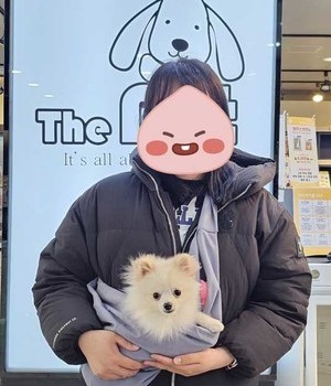 포메라니안 분양후기/중리점 [24.2.21]