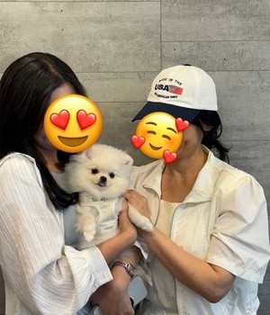 포메라니안 분양후기 [24.7.6]