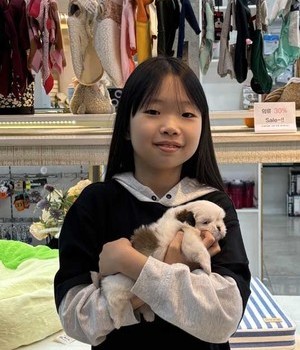 시츄분양후기 [24.10.19]