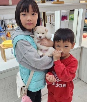 시바이누 분양후기 [24.10.27]