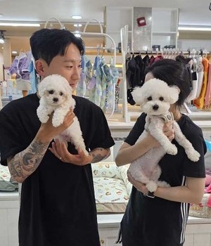 비숑프리제 분양후기 [24.7.27]