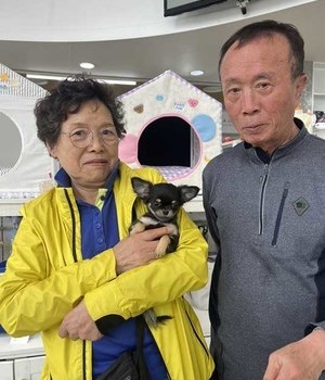 치와와 분양후기 [24.4.23]