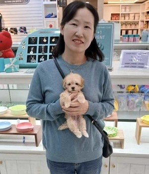 말티푸 분양후기 [24.11.14]