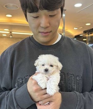 말티푸 분양후기 [24.10.28]