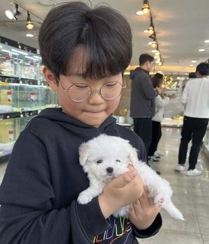 비숑프리제 분양후기 [24.3.31]