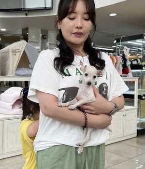 이탈리안그레이하운드 분양후기 [24.7.13]