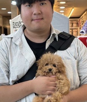 푸들 분양후기 [24.9.13]