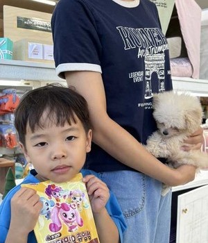 푸들 분양후기 [24.9.8]